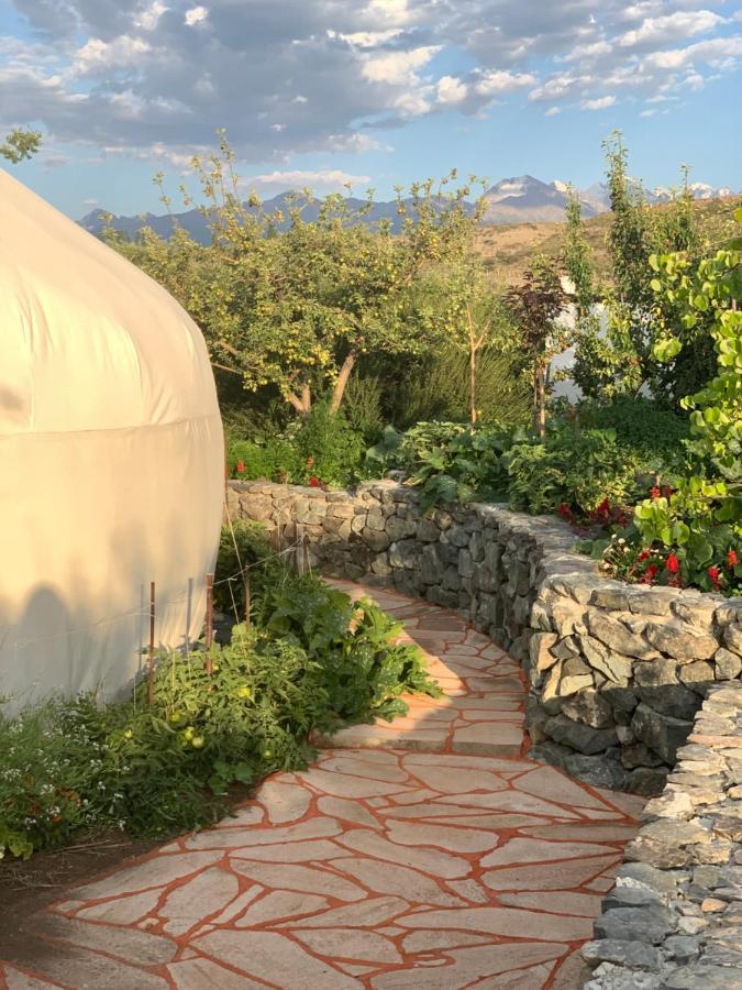 Ak-Tengir Yurt Resort Tossor Eksteriør bilde